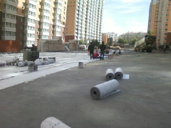 20101214104418795.jpg 20101214104418795.jpg