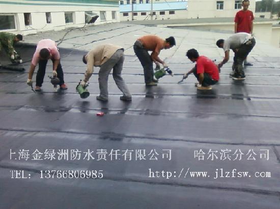 2010121410152403.jpg 2010121410152403.jpg